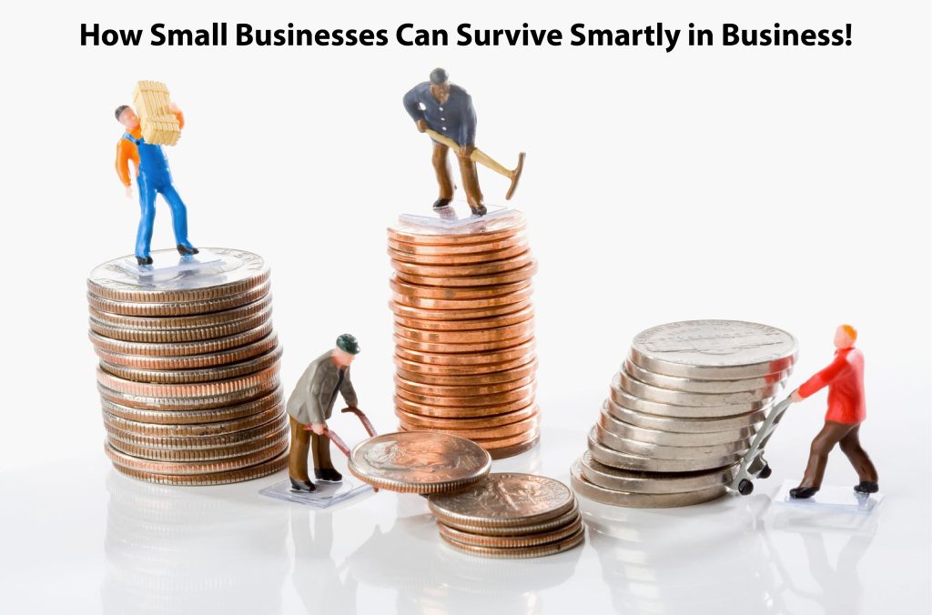How Small Businesses Can Survive Smartly in Business!