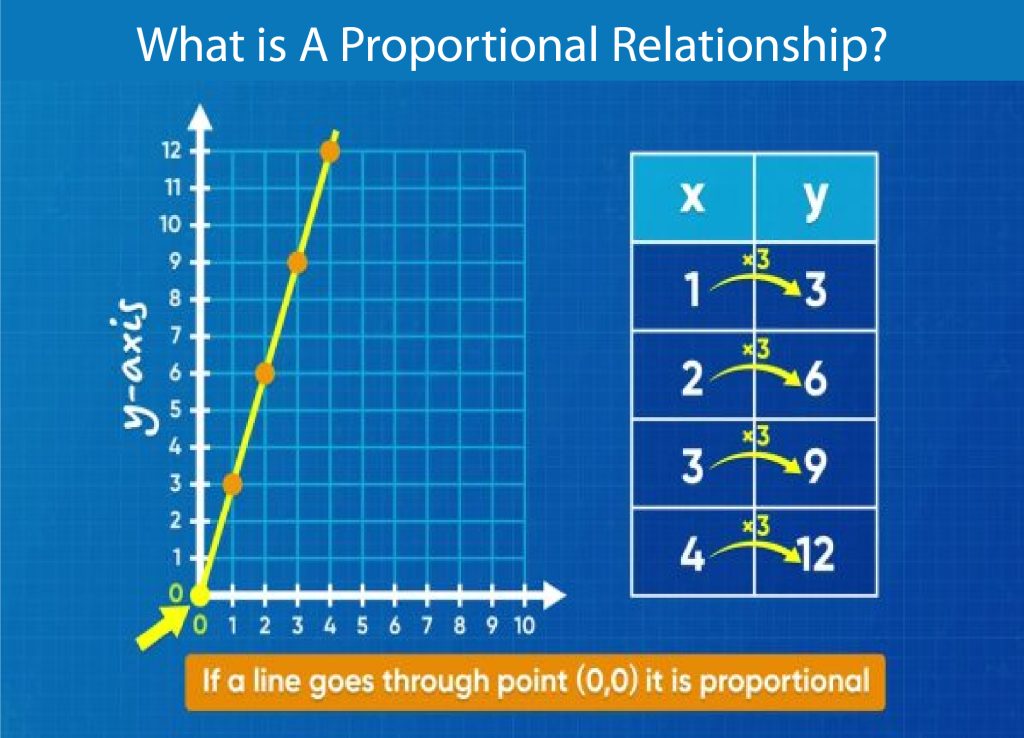 What is A Proportional Relationship?